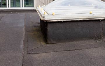 disadvantages of Lidstone flat roofs