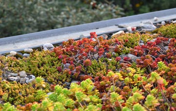 the cost of Lidstone green roof installation