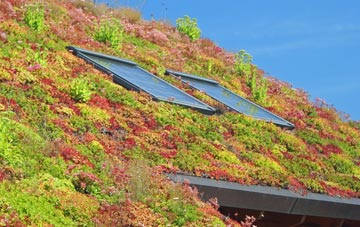Lidstone living roof systems